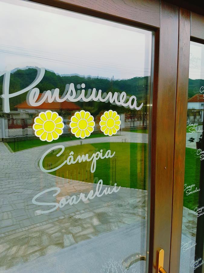 Pensiunea Campia Soarelui Apa Neagra Exterior photo